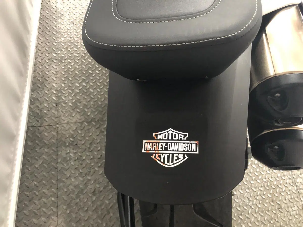 Harley-Davidson Sportster S (2025 - 26) (4)