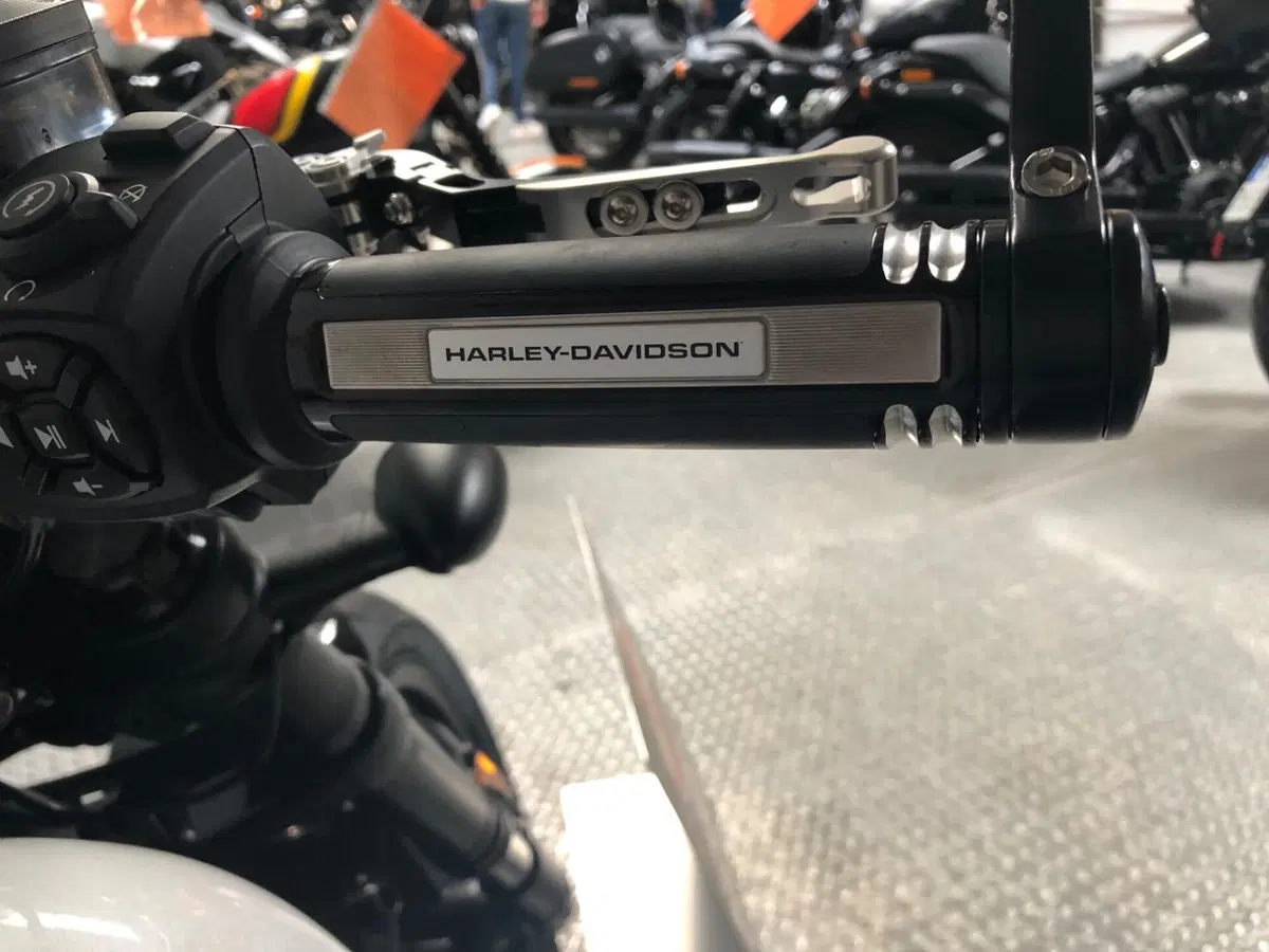 Harley-Davidson Sportster S (2025 - 26) (6)