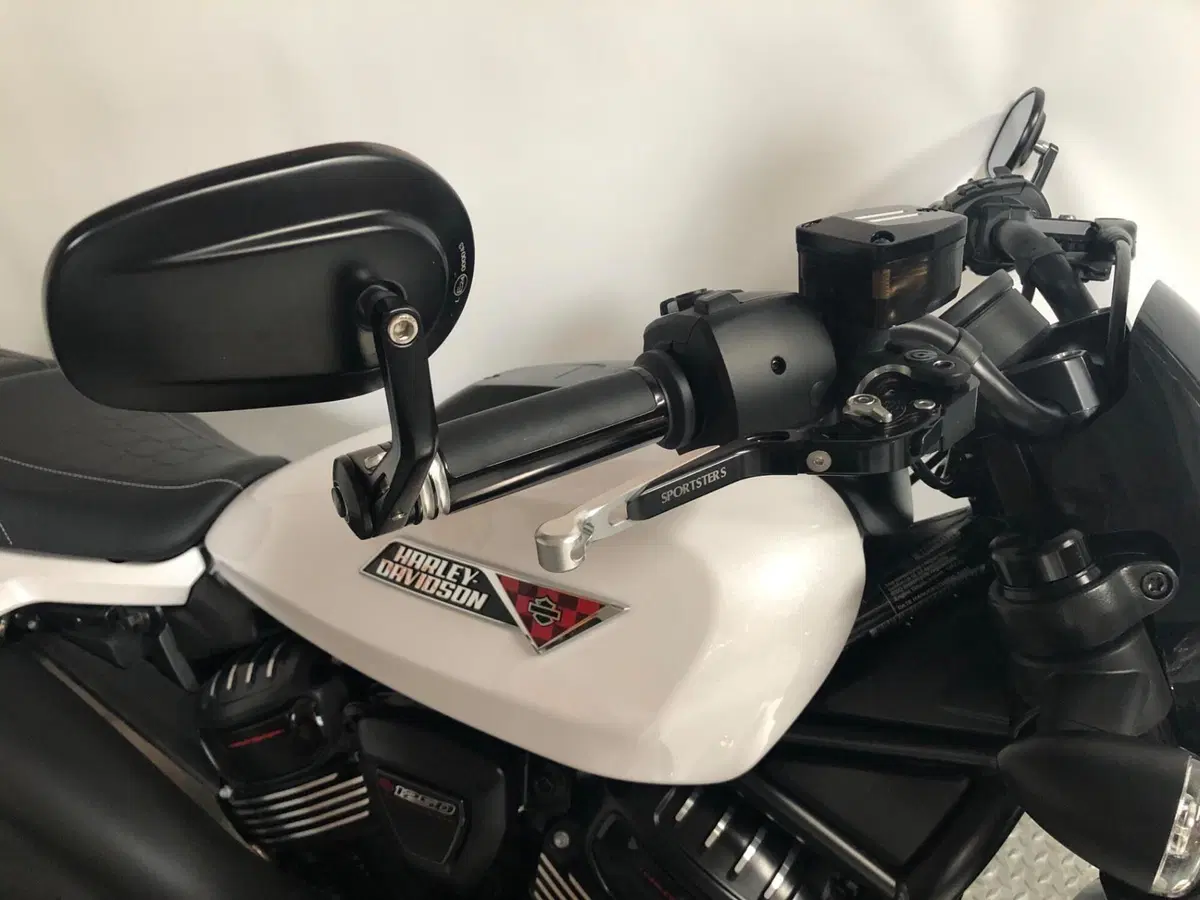 Harley-Davidson Sportster S (2025 - 26) (7)