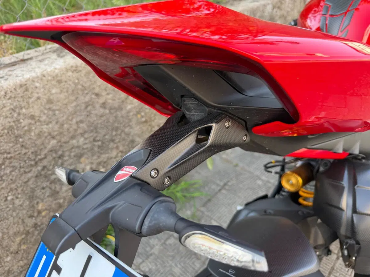 Ducati Panigale V4 S (2022 - 24) (18)