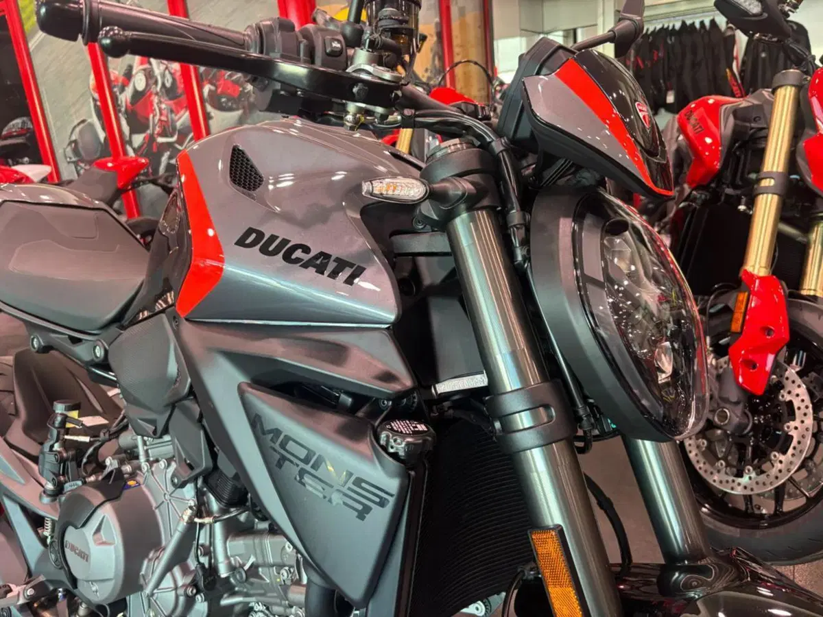 Ducati Monster 890 + (2026) (3)