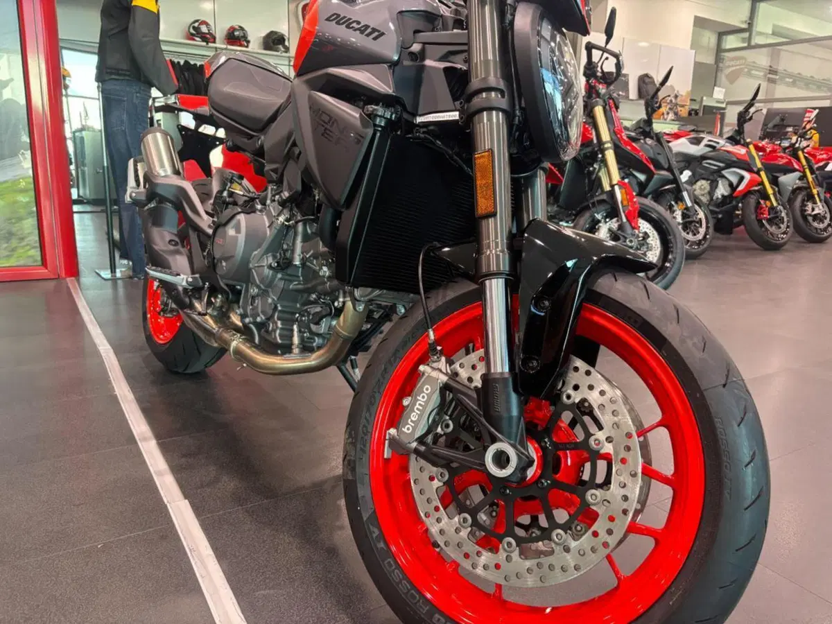 Ducati Monster 890 + (2026) (9)