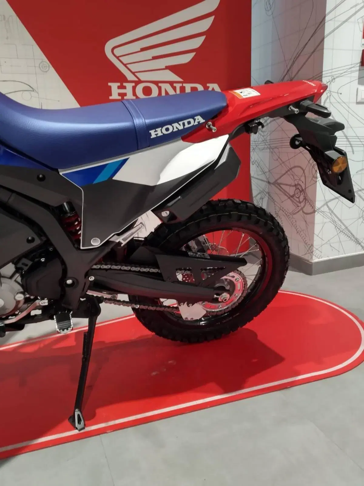 Honda CRF 300 Rally (2025 - 26) (5)