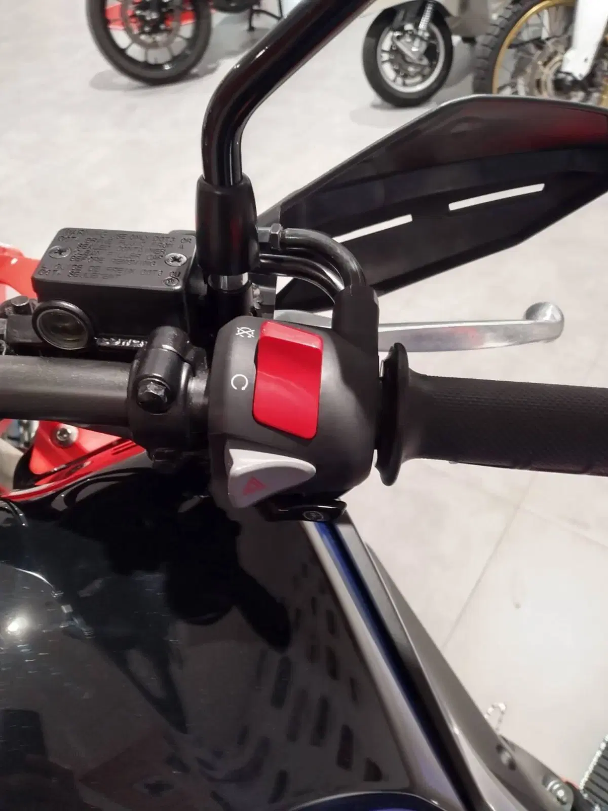 Honda CRF 300 Rally (2025 - 26) (10)