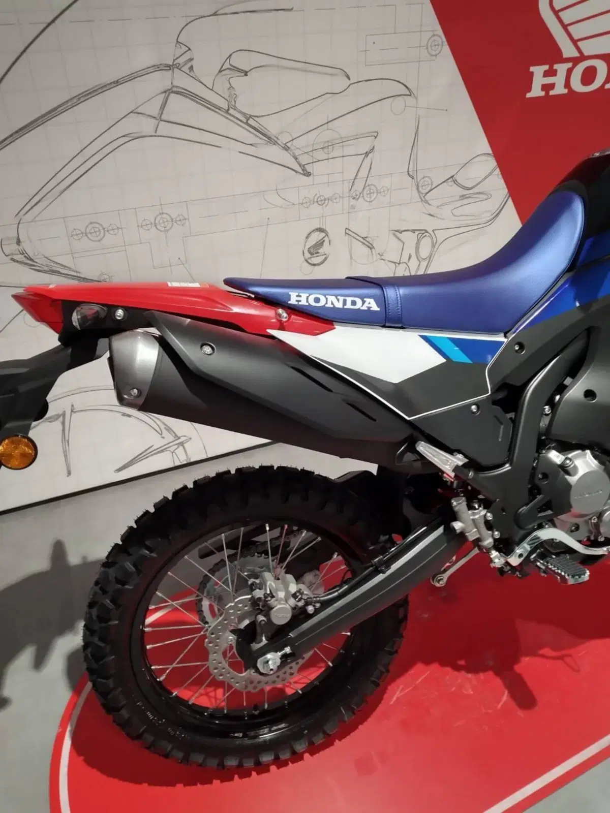 Honda CRF 300 Rally (2025 - 26) (12)