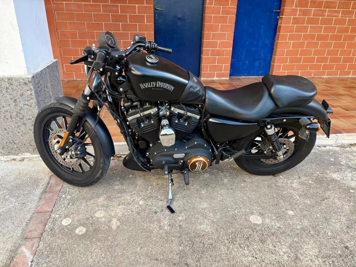 Harley-Davidson 883 Iron (2014 - 16) - XL 883N (2)