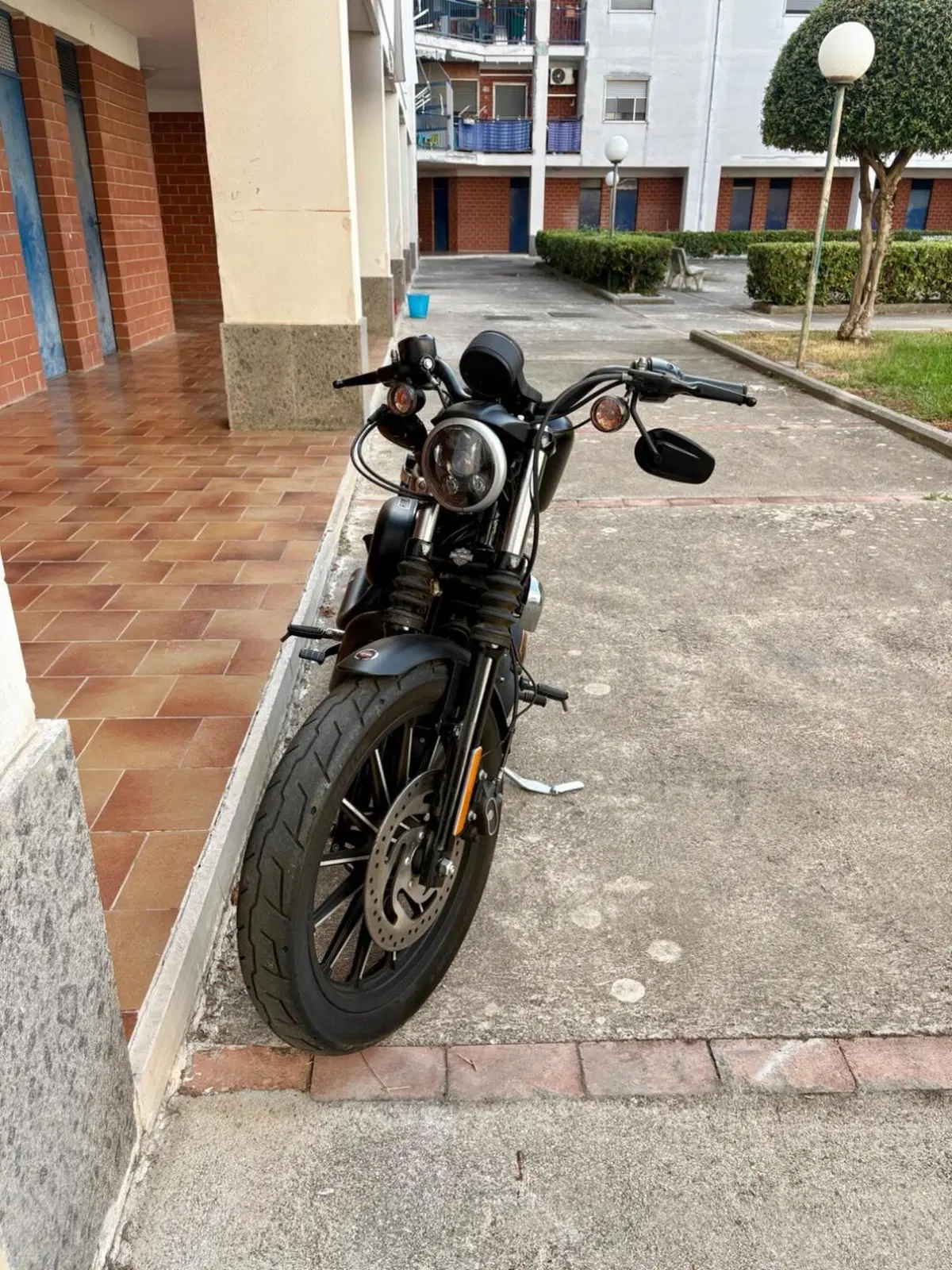 Harley-Davidson 883 Iron (2014 - 16) - XL 883N (3)