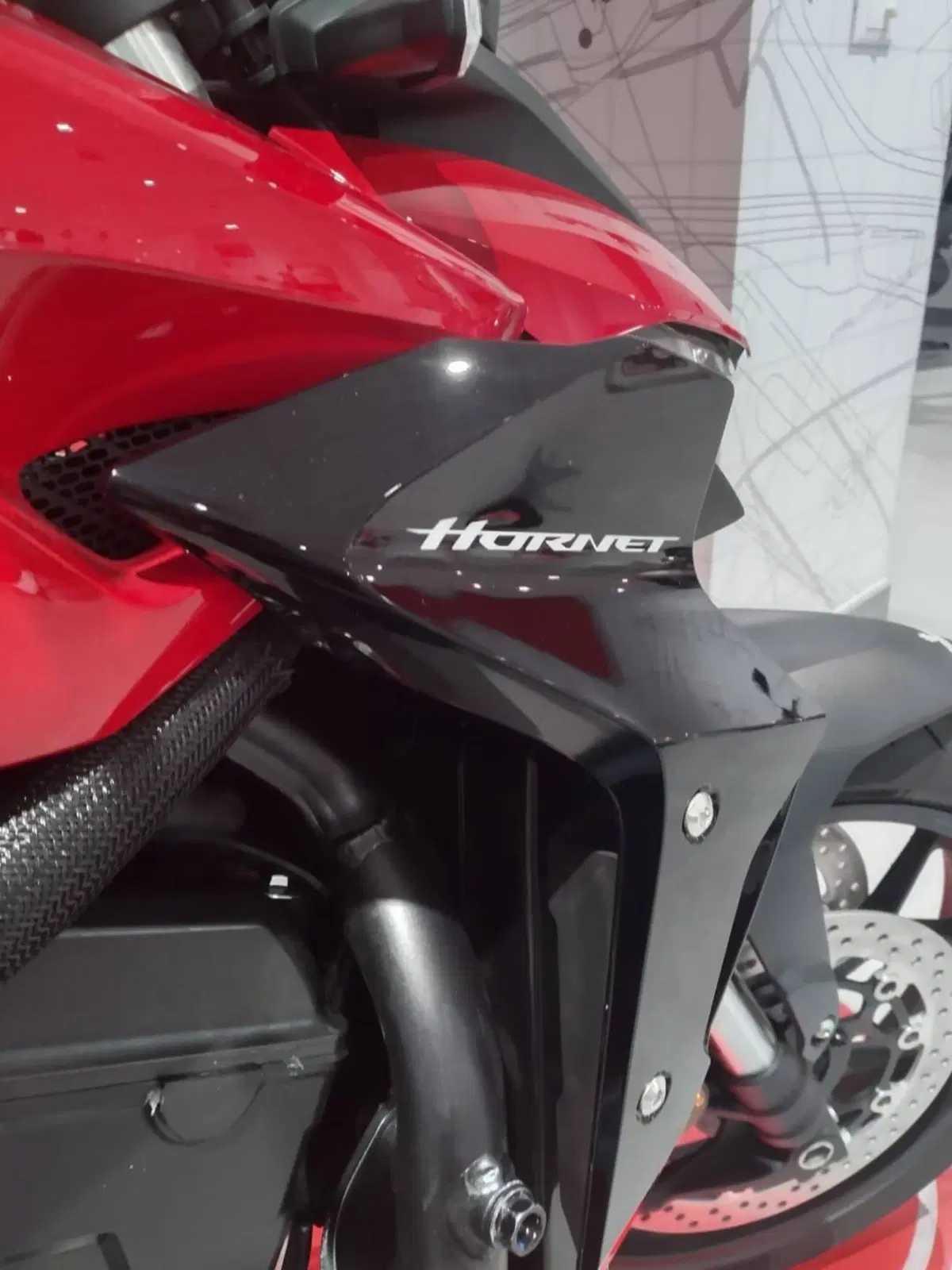 Honda CB 1000 Hornet (2025 - 26) (11)