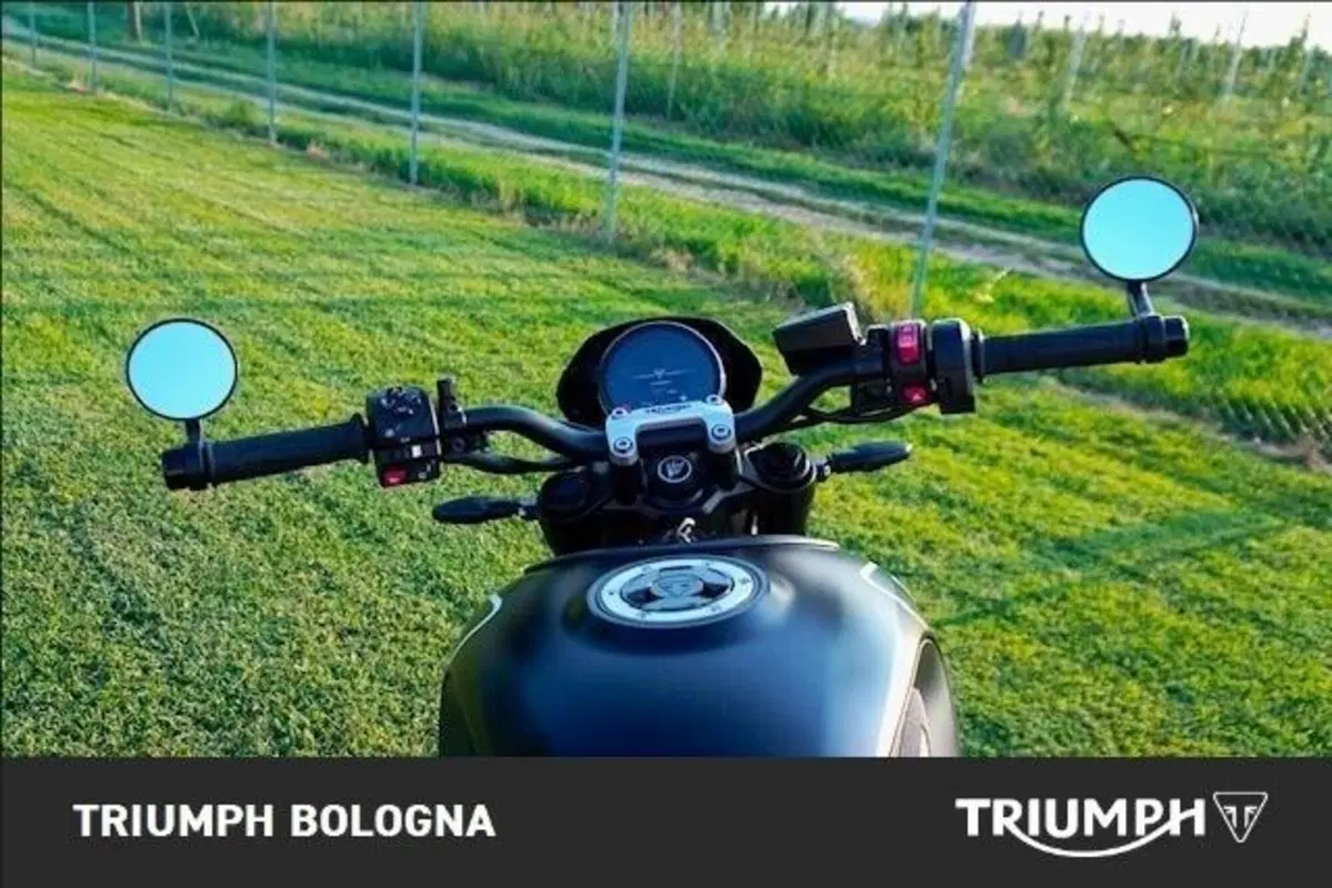 Triumph Trident 660 (2021 - 24) (9)