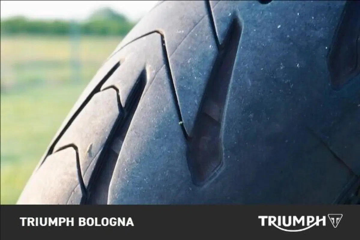 Triumph Trident 660 (2021 - 24) (2)
