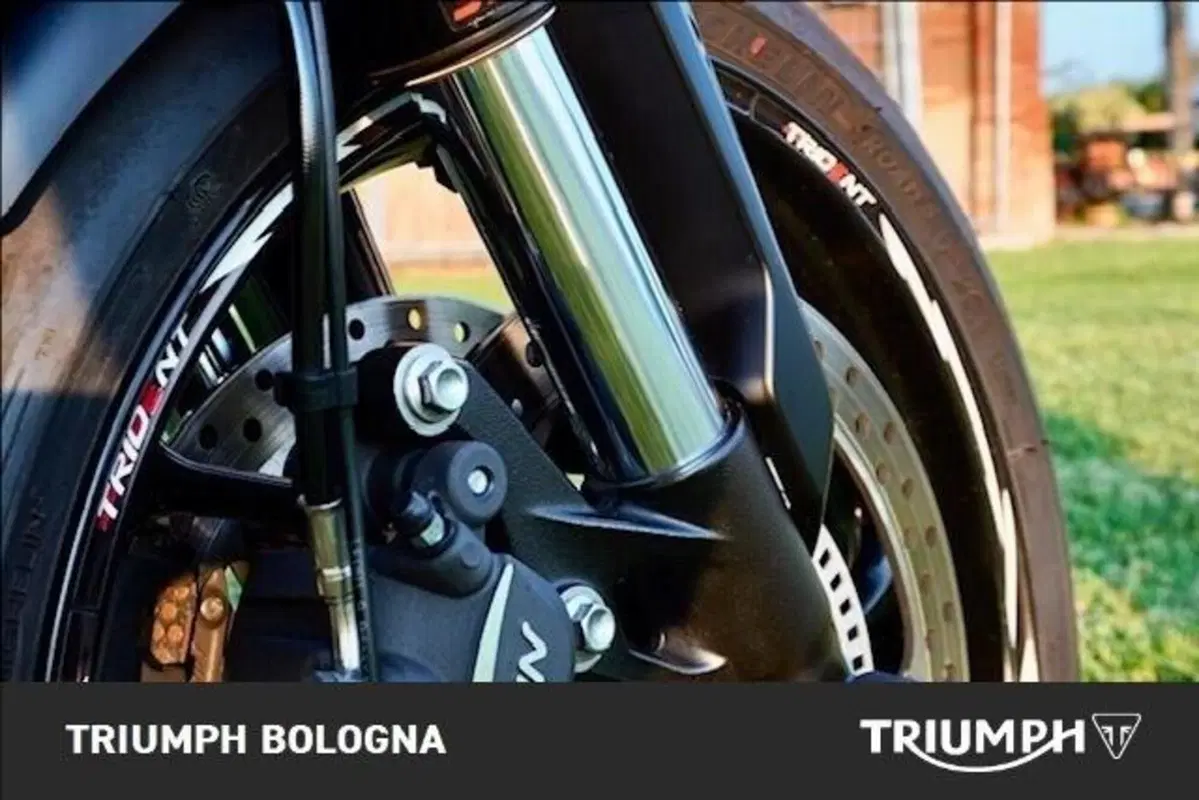 Triumph Trident 660 (2021 - 24) (8)
