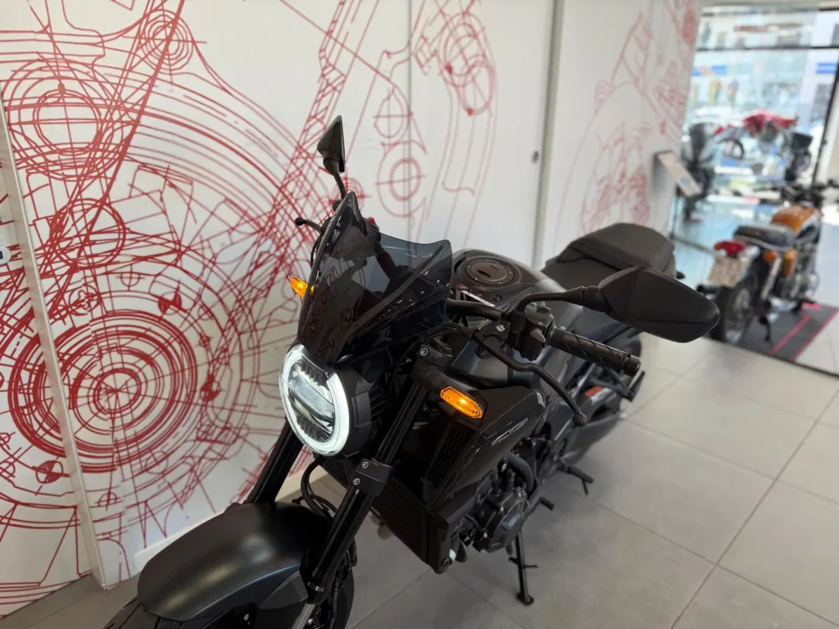 Honda CB 650 R (2021 - 23) (13)