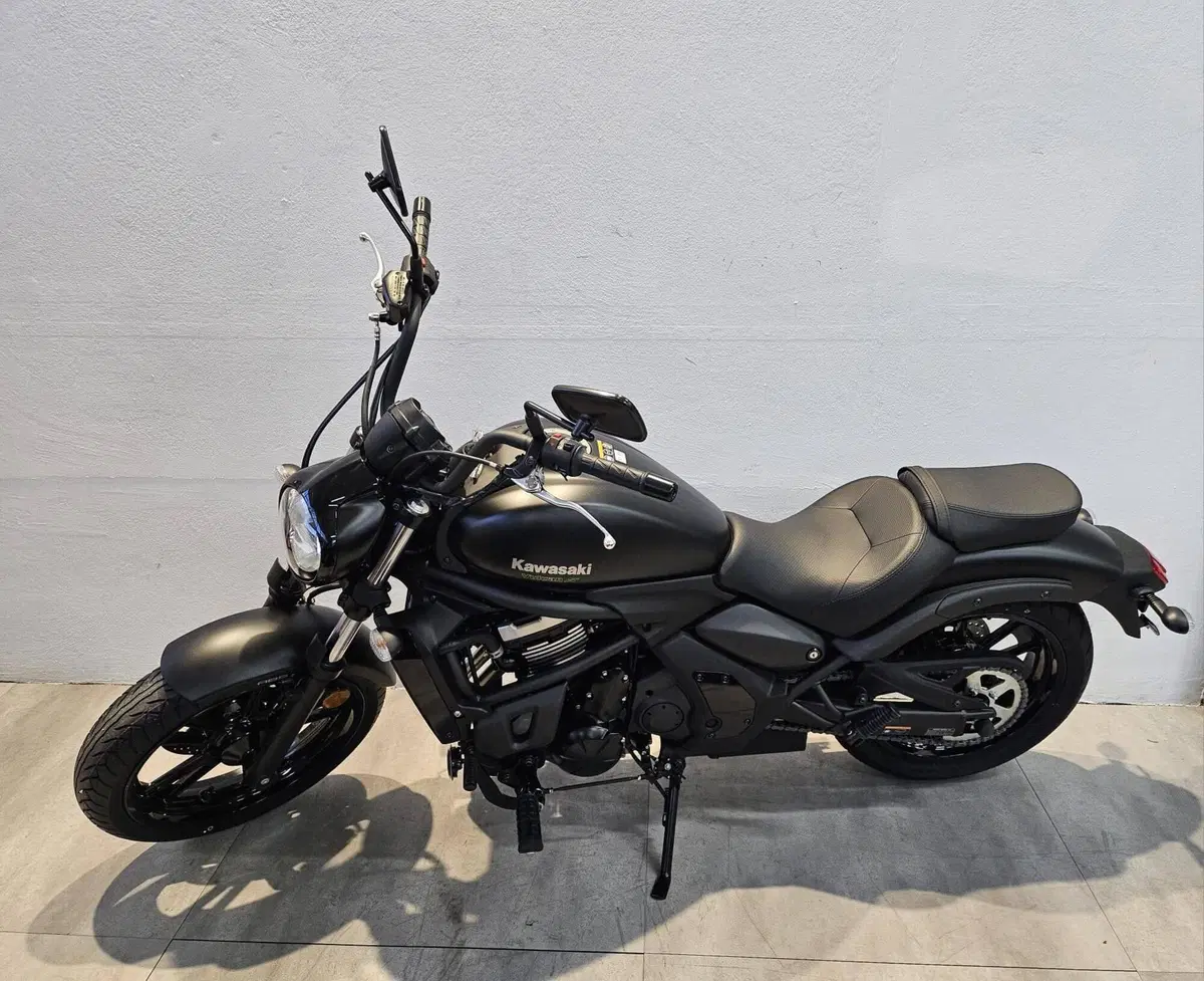 Kawasaki Eliminator 500 (2024 - 26) (2)