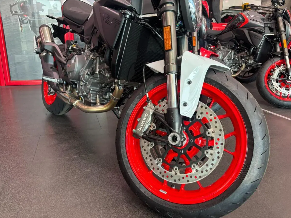 Ducati Monster 890 + (2026) (4)