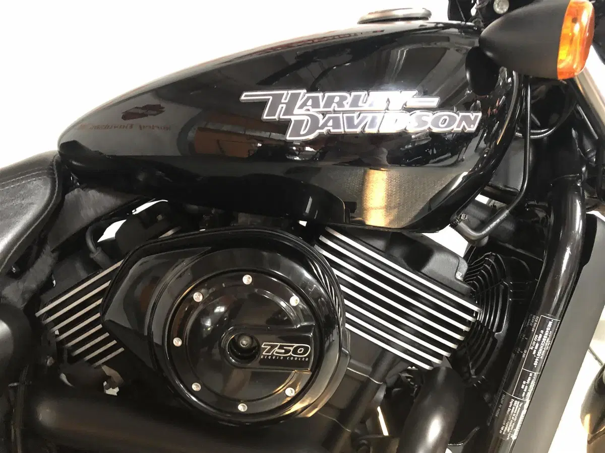 Harley-Davidson 750 Street (2017 - 20) - XG 750 (2)