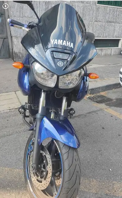 Yamaha TDM 900 (2002 - 14) usata