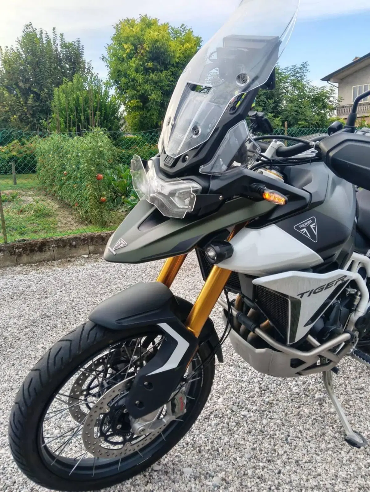 Triumph Tiger 900 Rally Pro (2024 - 26) (2)