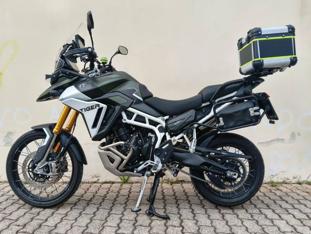 Triumph Tiger 900 Rally Pro (2024 - 26) (3)