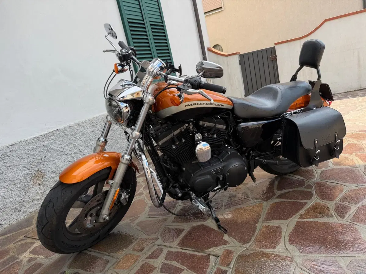 Harley-Davidson 1200 Custom ABS (2014 - 16) - XL 1200C (8)
