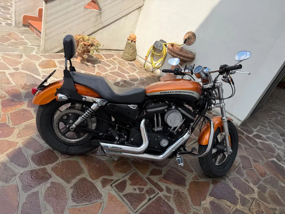 Harley-Davidson 1200 Custom ABS (2014 - 16) - XL 1200C (10)