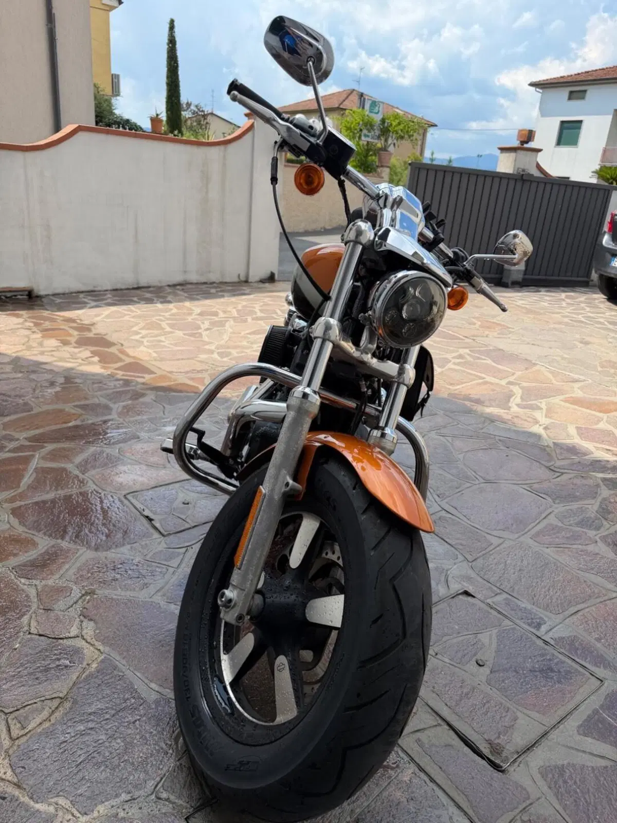Harley-Davidson 1200 Custom ABS (2014 - 16) - XL 1200C (11)