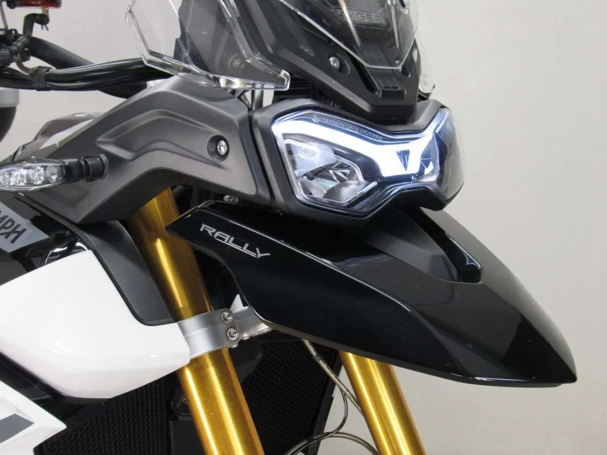 Triumph Tiger 900 Rally (2020 - 23) (10)