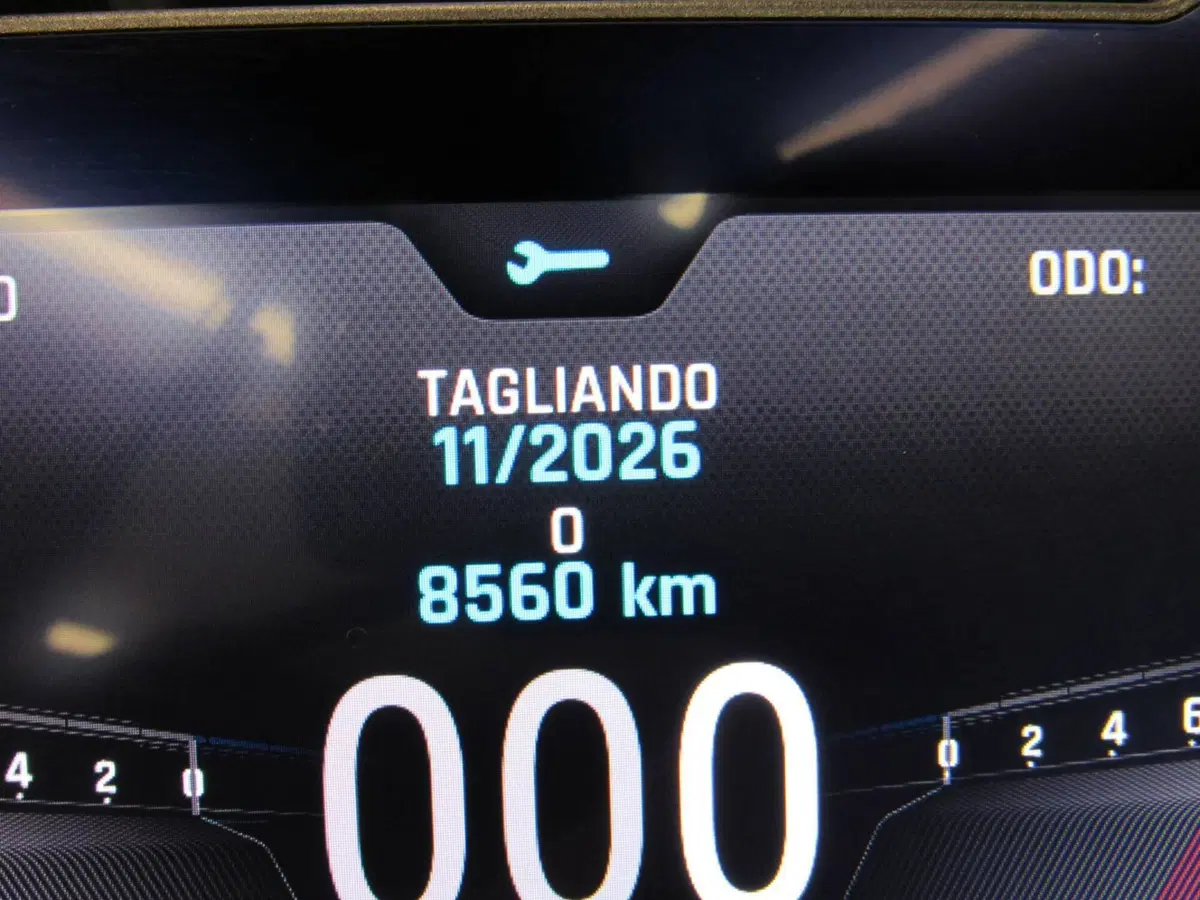 Triumph Tiger 900 Rally (2020 - 23) (13)