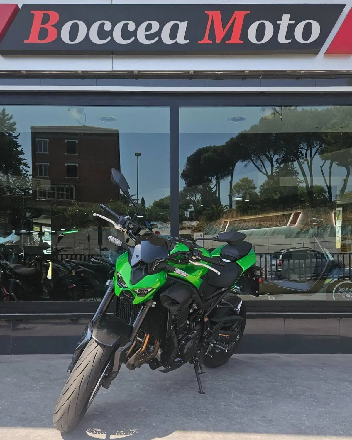 Kawasaki Z 900 (2025 - 26) (2)