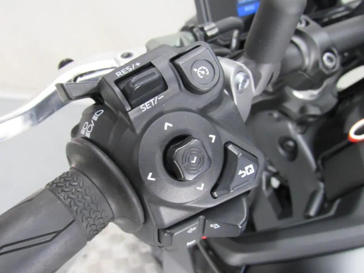 Yamaha MT-09 (2024 - 26) (13)