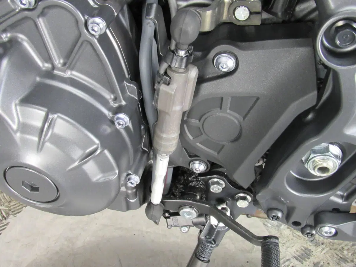 Yamaha MT-09 (2024 - 26) (14)