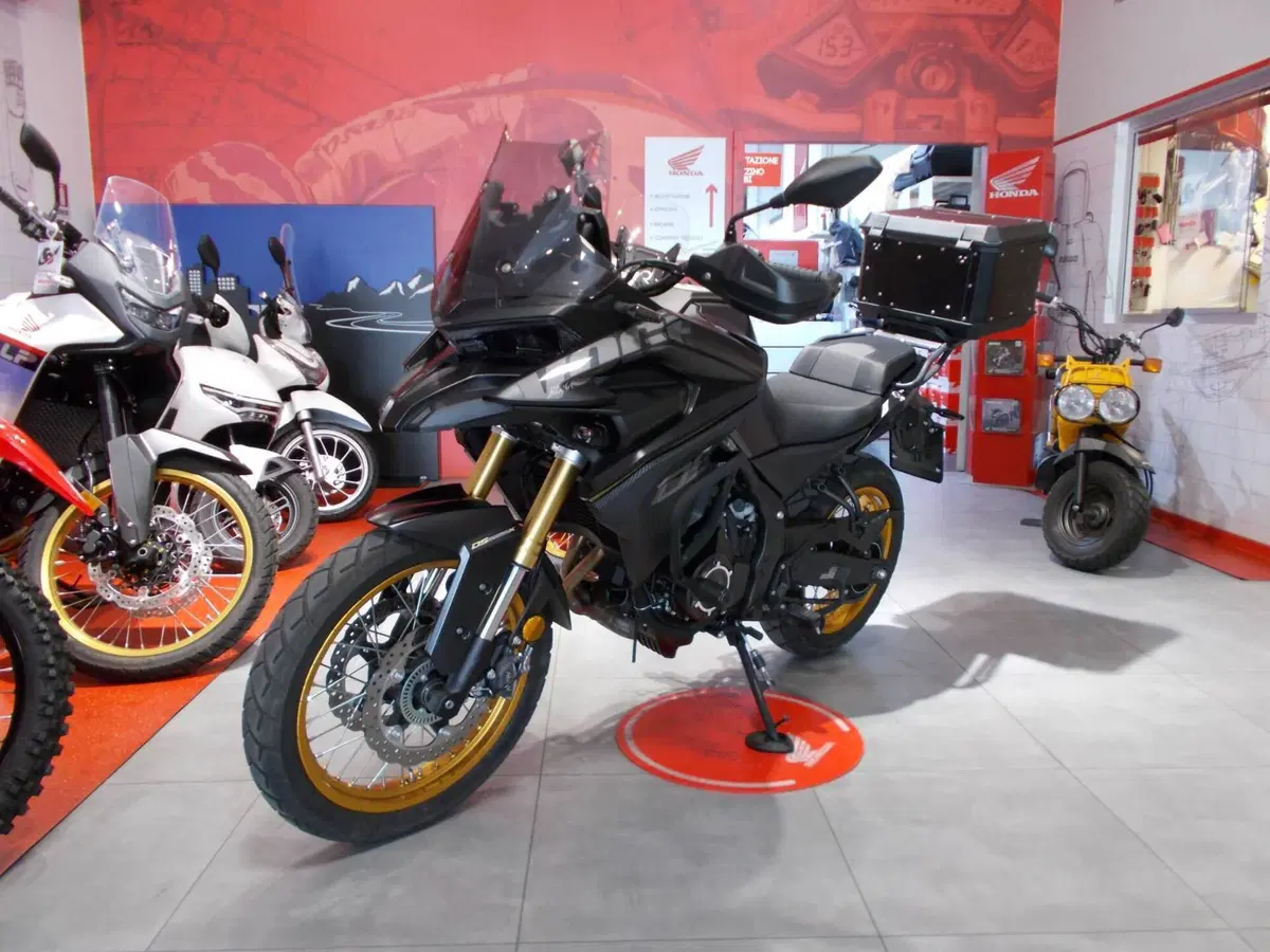 Voge Valico 525DSX (2023 - 26) (2)