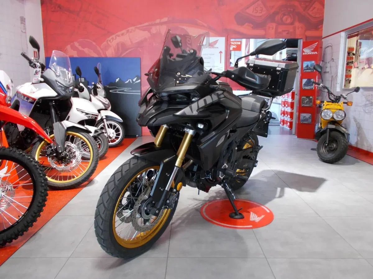 Voge Valico 525DSX (2023 - 26) (3)