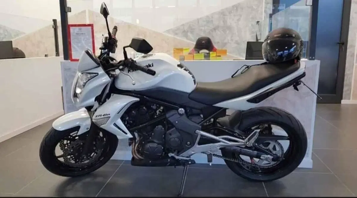 Kawasaki ER-6N (2009 - 11) (3)