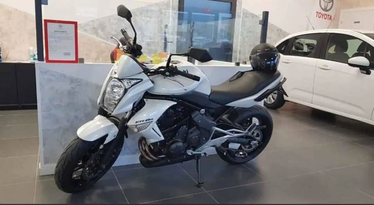 Kawasaki ER-6N (2009 - 11) (5)