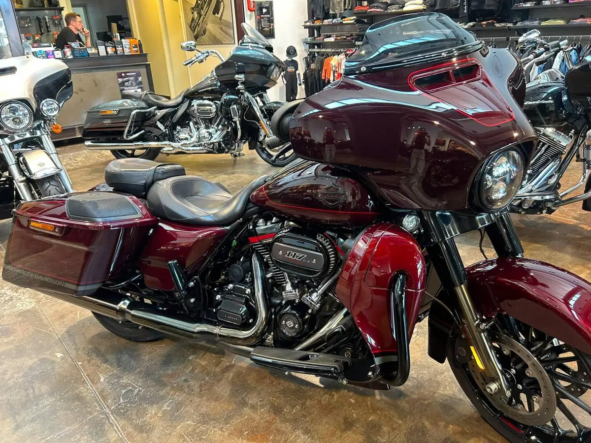 Harley-Davidson 117 Street Glide (2018 - 20) - FLHXSE (9)