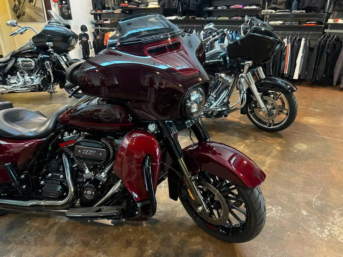 Harley-Davidson 117 Street Glide (2018 - 20) - FLHXSE (10)