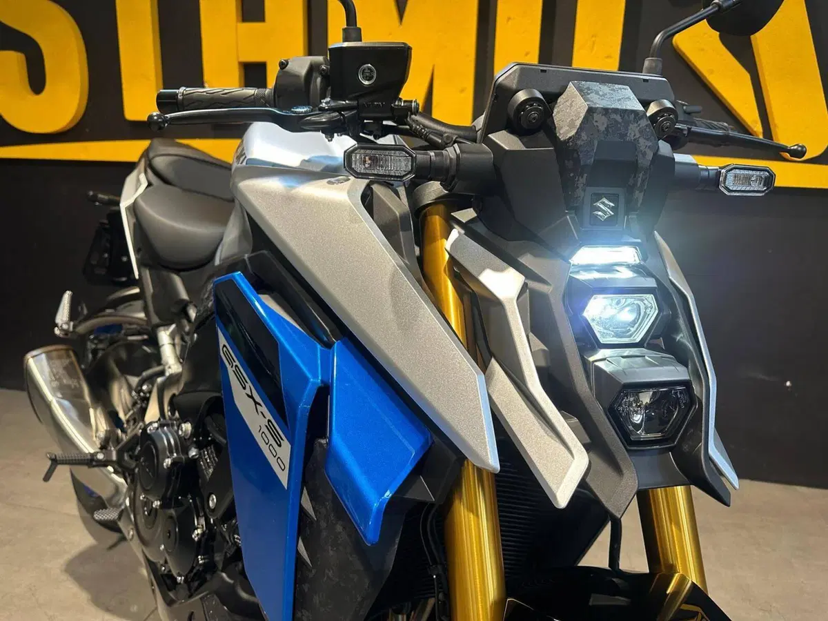 Suzuki GSX-S1000 EVO (2025 - 26) (3)