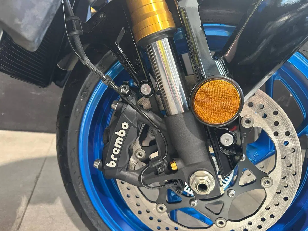 Suzuki GSX-S1000 EVO (2025 - 26) (7)