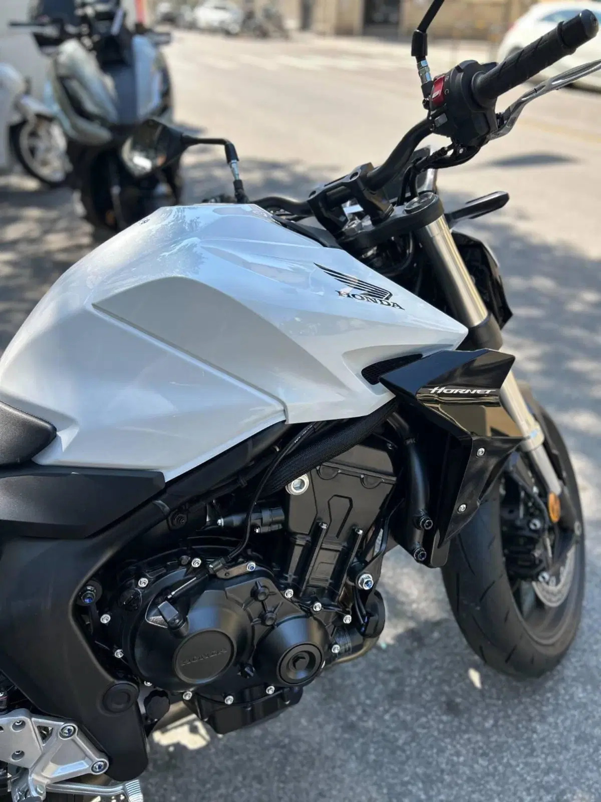Honda CB 1000 Hornet (2025 - 26) (6)