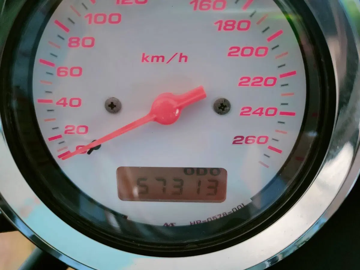 Honda Hornet 600 (2003 - 04) (8)