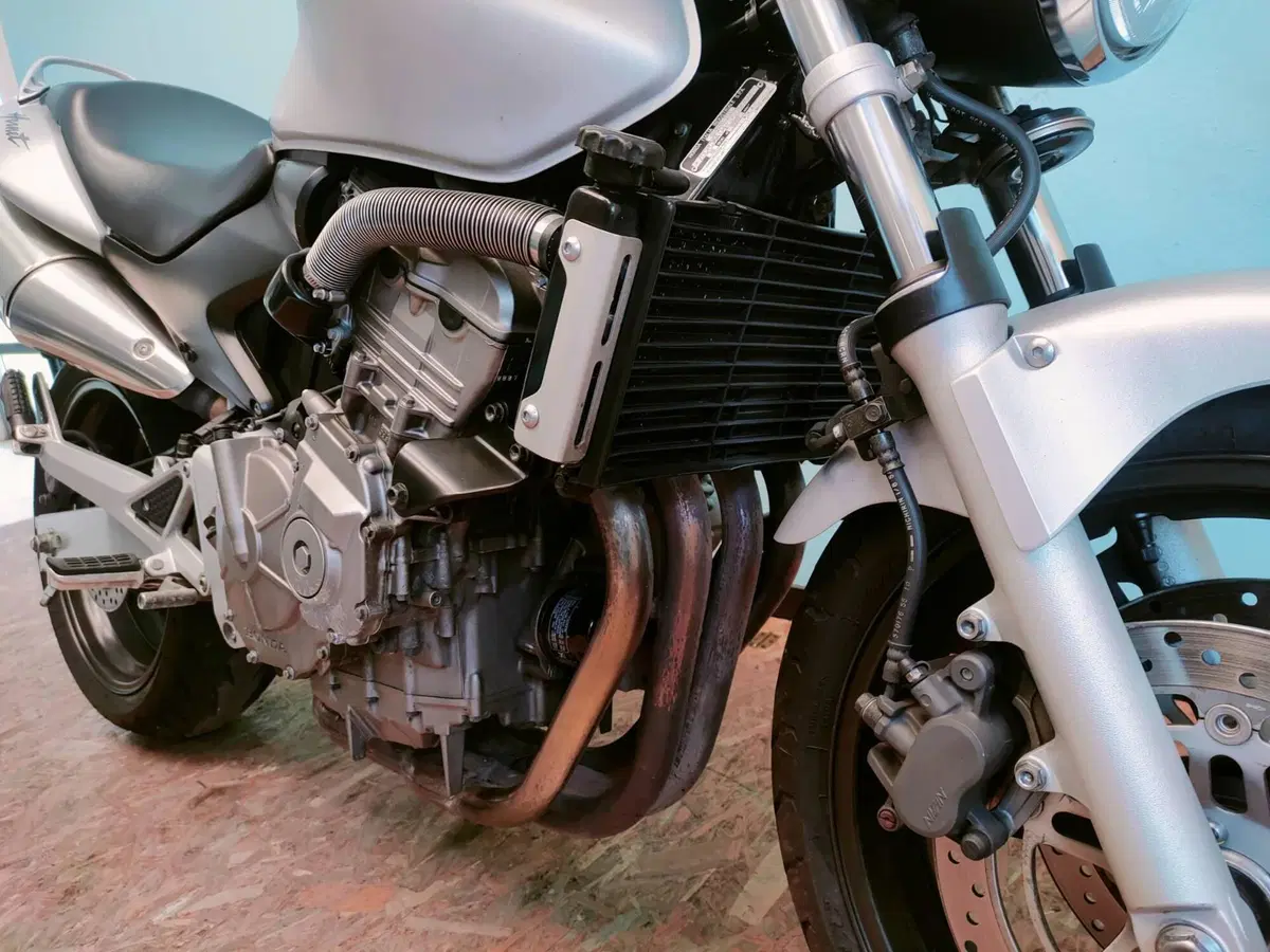 Honda Hornet 600 (2003 - 04) (14)
