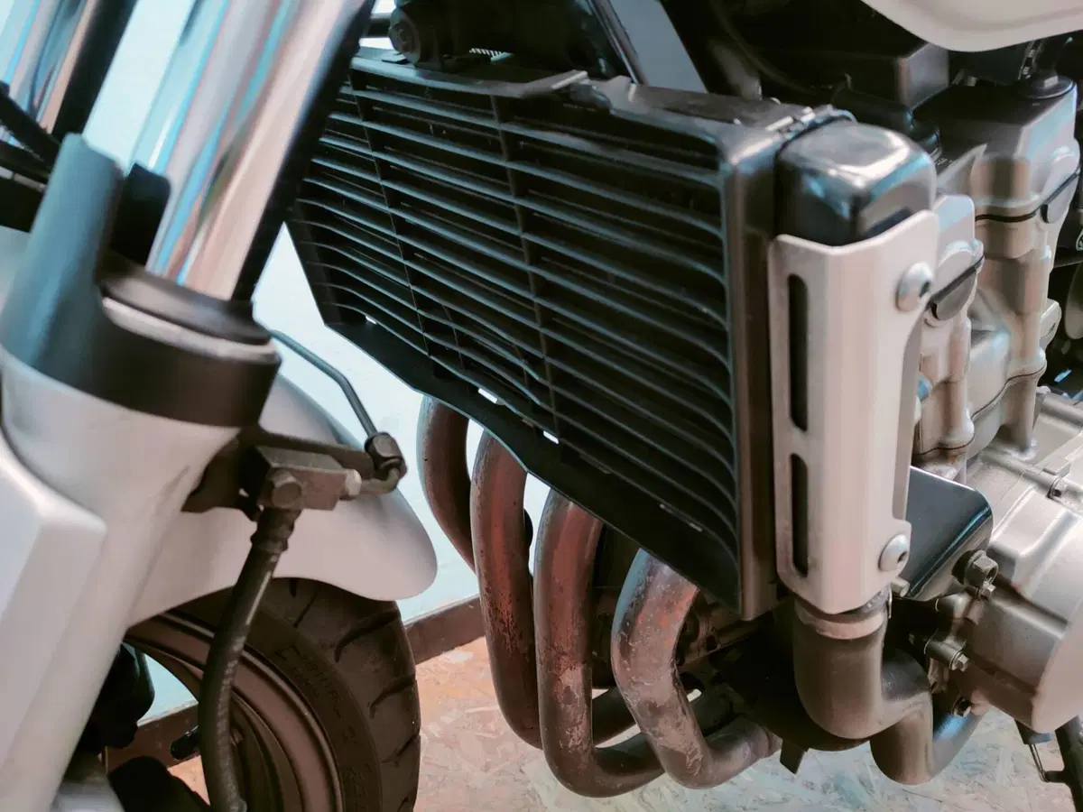 Honda Hornet 600 (2003 - 04) (20)
