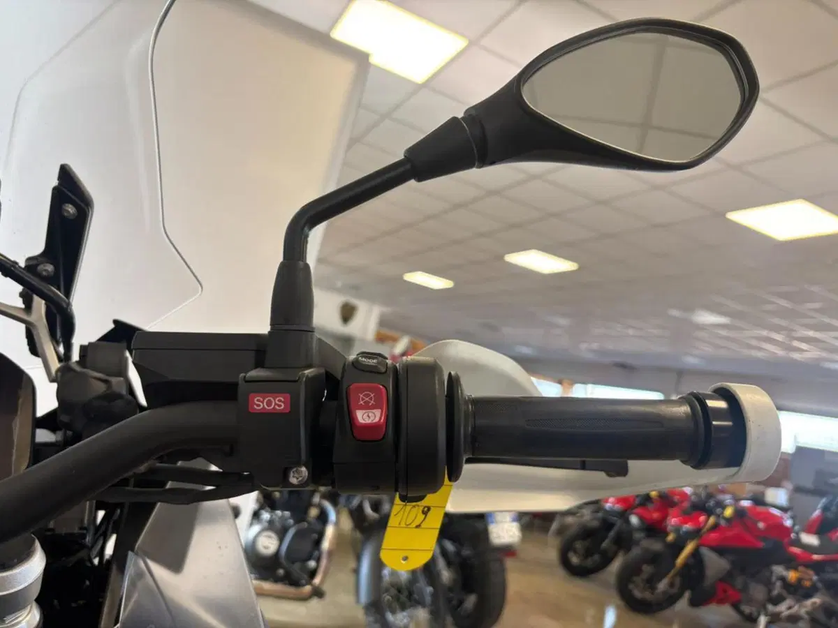 Bmw R 1250 GS Adventure (2021 - 24) (12)