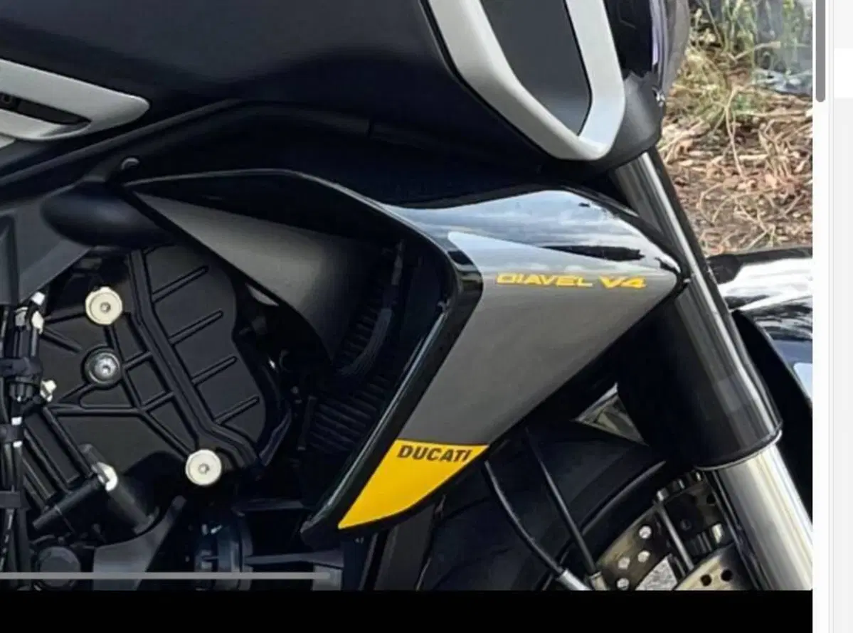 Ducati Diavel V4 (2023 - 26) (3)