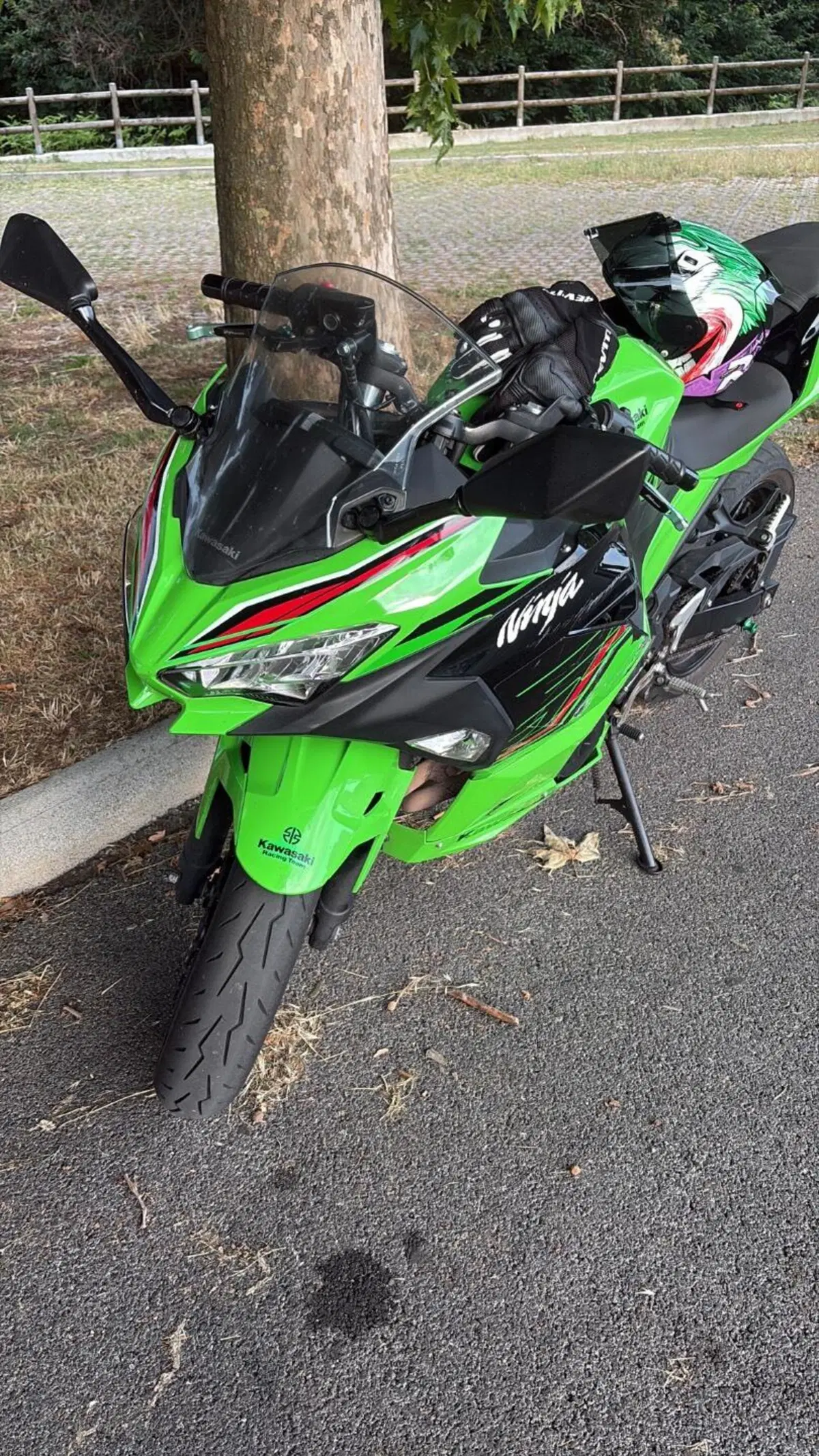 Kawasaki Ninja 400 Performance (2023) (7)
