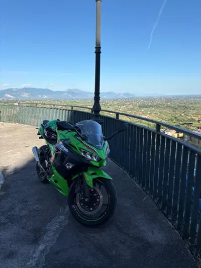 Kawasaki Ninja 400 Performance (2023) usata