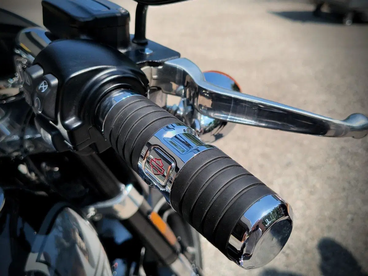 Harley-Davidson Sport Glide (2021 - 25) (4)