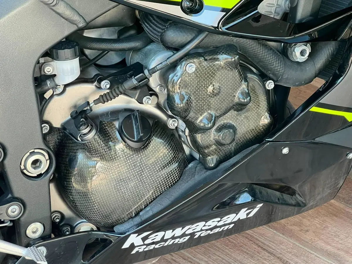 Kawasaki Ninja 636 ZX-6R KRT (2019 - 20) (6)
