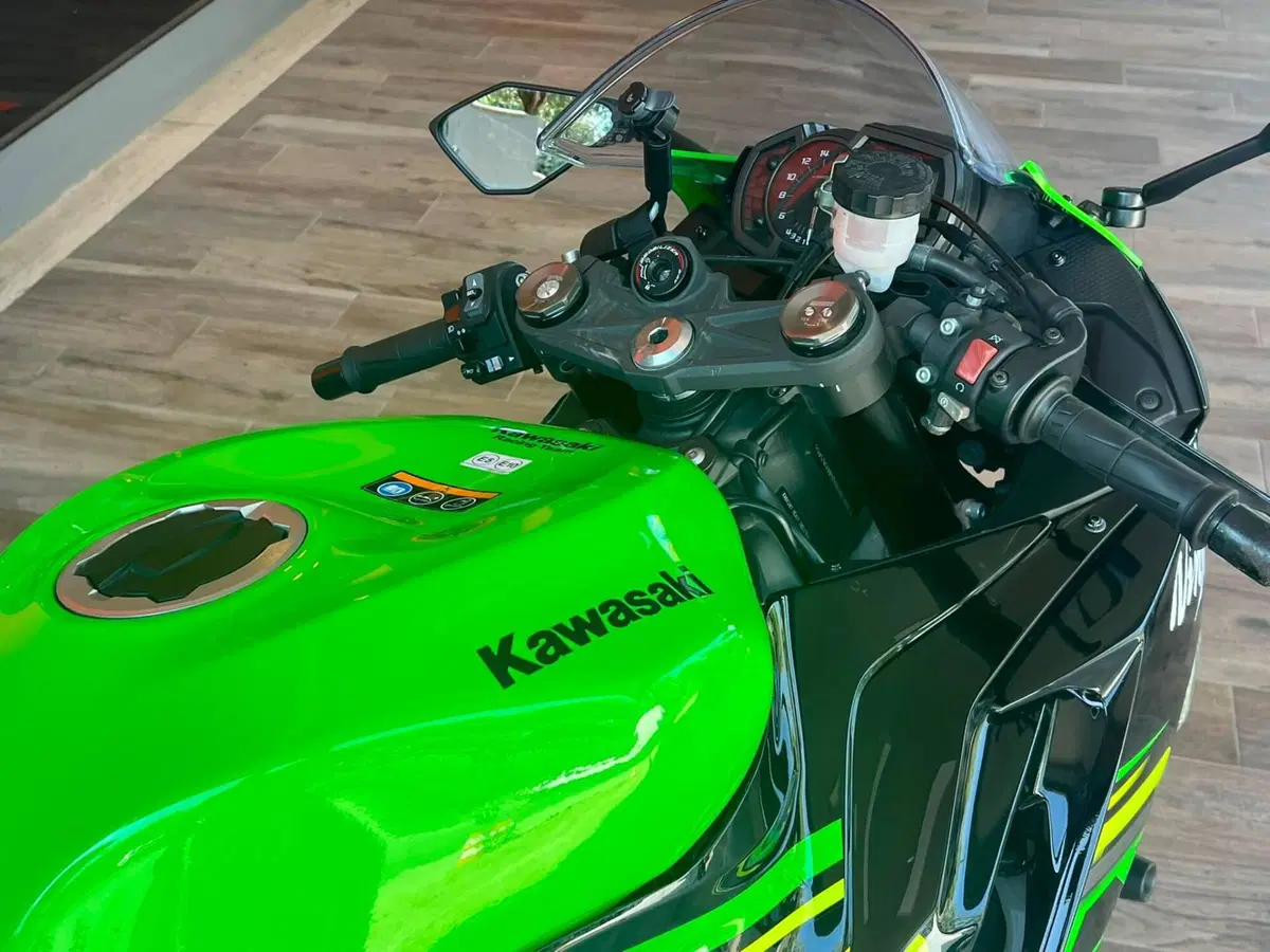 Kawasaki Ninja 636 ZX-6R KRT (2019 - 20) (8)