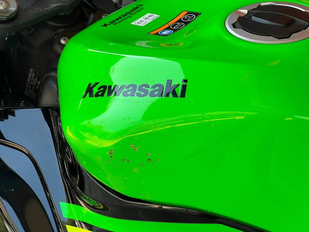 Kawasaki Ninja 636 ZX-6R KRT (2019 - 20) (13)